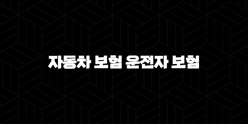 자동차 보험 운전자 보험 - 2025년, 무엇이 다르고 나에게 필요한 것은? 73