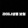 라이나생명 보험 2025년 - 고객센터, 보험금 청구, 해지, 상품 완벽 가이드 13