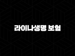 라이나생명 보험 2025년 - 고객센터, 보험금 청구, 해지, 상품 완벽 가이드 33