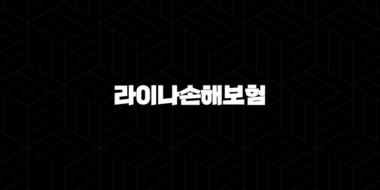 2025년 라이나손해보험(+ 고객센터, 보험 청구, 해지, 상품 안내 완벽 정리!) 29