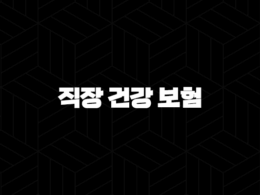 직장 건강 보험(+ 2025년 직장인이 꼭 알아야 할 7가지 핵심 정보) 33