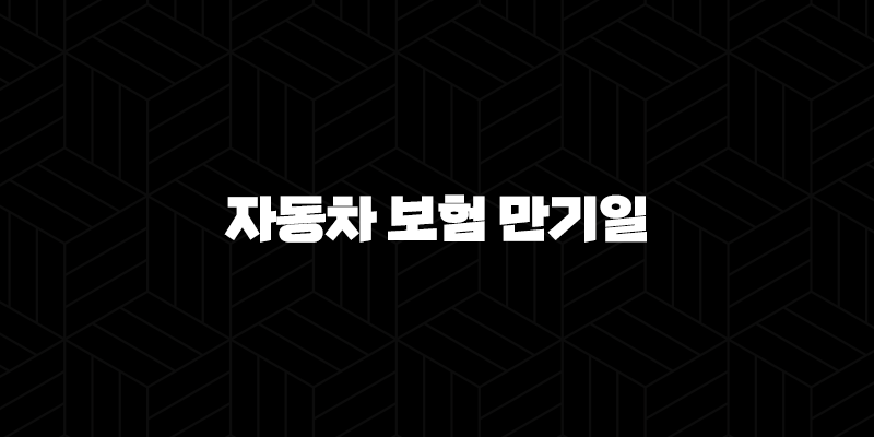 자동차 보험 만기일 당일 갱신 - 2025년 꼭 알아야 할 정보와 과태료 피하는 방법! 141