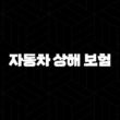 자동차 상해 보험(+ 2025년 최신 정보와 꿀팁 대방출!) 13