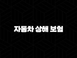 자동차 상해 보험(+ 2025년 최신 정보와 꿀팁 대방출!) 25