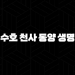 수호 천사 동양 생명(+ 2025년, 내 곁을 지켜주는 든든한 보험 이야기) 13