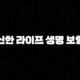 신한 라이프 생명 보험(+ 2025년 당신의 미래를 밝혀줄 7가지 핵심 가이드) 87