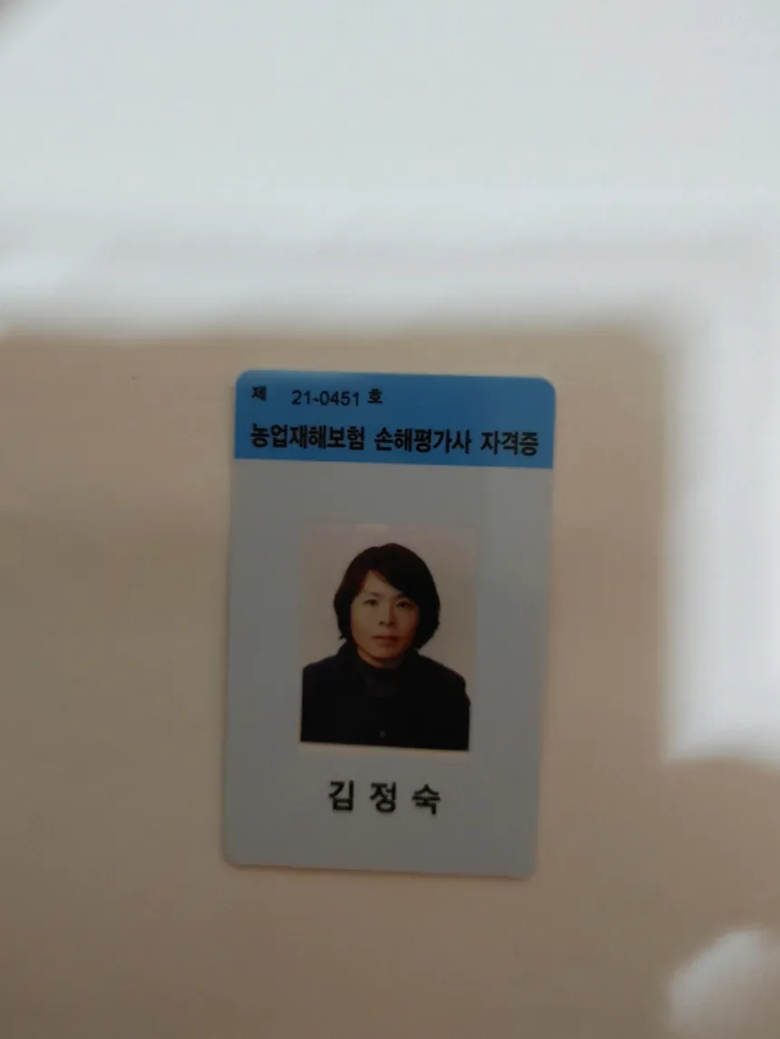 손해평가사 시험일정 2026년 합격 준비 핵심 정리 1