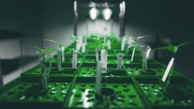 DeSci 자산 가치 평가 및 2026년 수익 전략 17