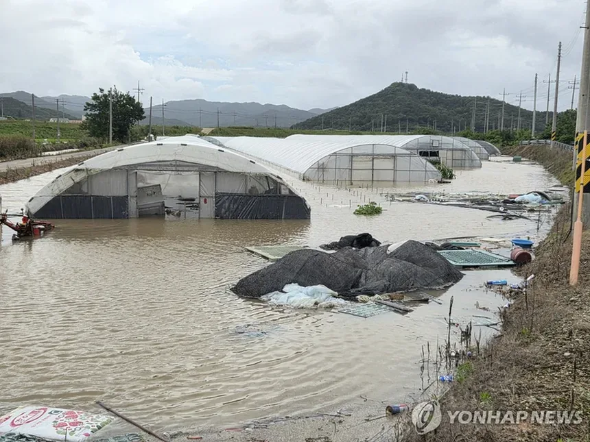 주왕산 계곡 등산로