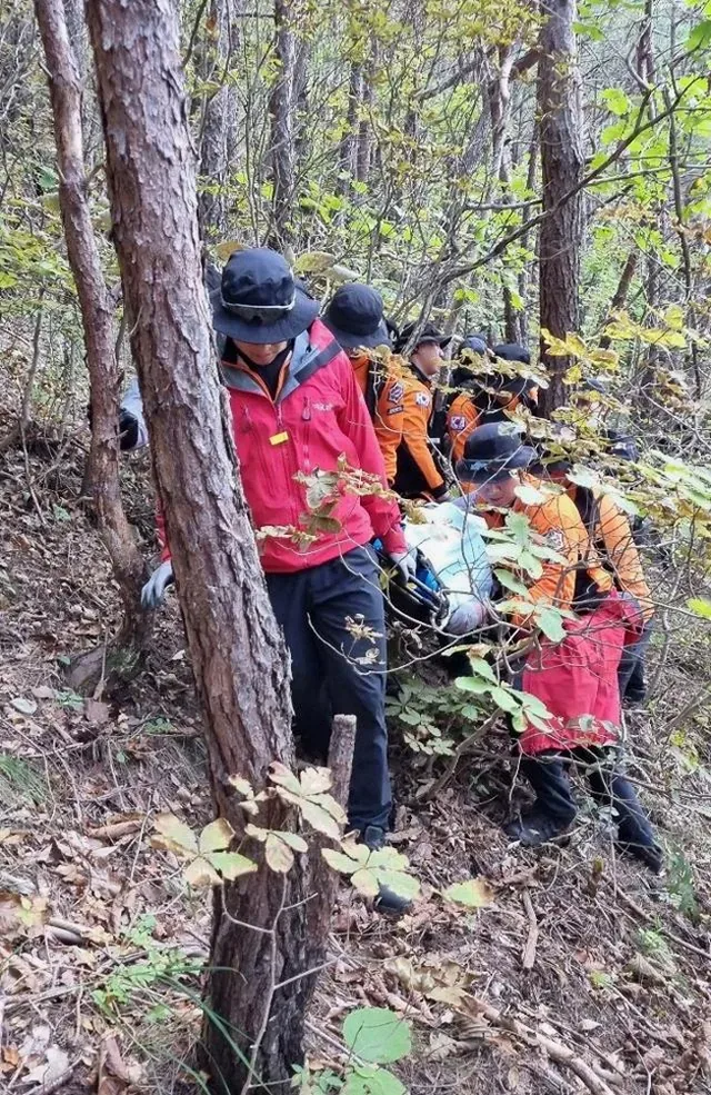 청송 주왕산 실종 사건 경위와 수색 상황 총정리 3 주왕산 탐방로와 산세를 보여주는 항공 사진