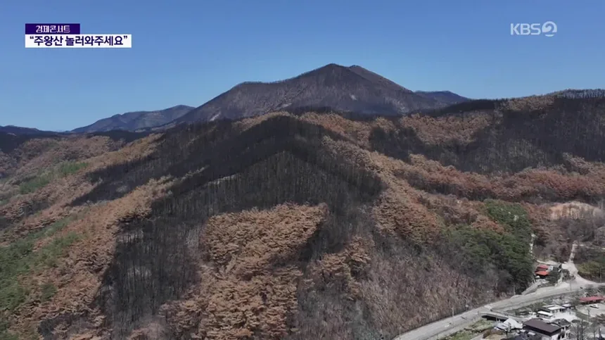 청송 주왕산 실종 사건 경위와 수색 상황 총정리 5 실종 아동 목격 제보를 확인하는 상황