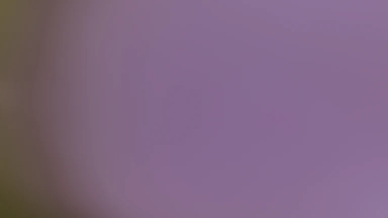 Score는 비트코인의 가치 평가에 있어 매우 강력한 도구이지만, 단일 지표에만 의존하는 것은 위험할 수 있습니다. 시장은 복잡하며, 다양한 요인들이 상호작용하여 가격에 영향을 미칩니다. 따라서 MVRV Z-Score를 다른 온체인 지표 및 기술적 분석 도구와 함께 활용할 때, 더욱 견고하고 신뢰할 수 있는 투자 결정을 내릴 수 있습니다. 2026년 현재, 더욱 정교해진 분석 도구들을 활용하여 투자 전략의 완성도를 높여보세요.