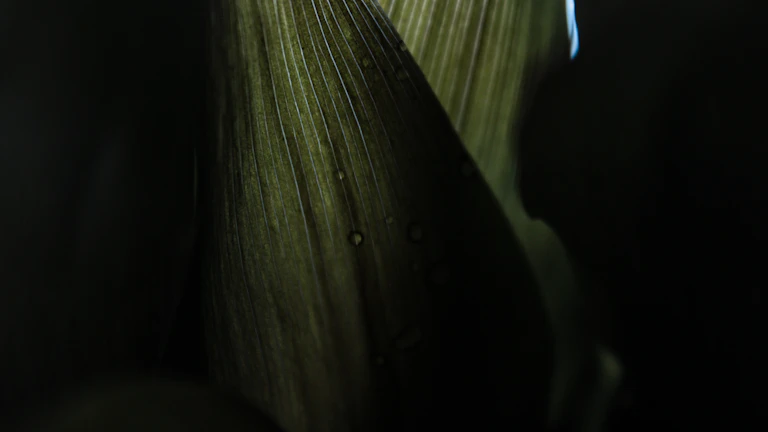 Score가 과열 신호(일반적으로 2 이상, 특히 3 이상)를 보인다고 해서 반드시 즉시 매도해야 하는 것은 아닙니다. 이는 잠재적인 가격 조정의 가능성이 높아졌음을 나타내는 신호일 뿐, 시장 상황은 언제든 변할 수 있습니다. 과열 신호가 나타난 후에도 가격이 더 상승하는 경우도 있으며, 따라서 다른 지표들과의 종합적인 분석과 함께 자신의 투자 전략에 따라 신중하게 결정해야 합니다.