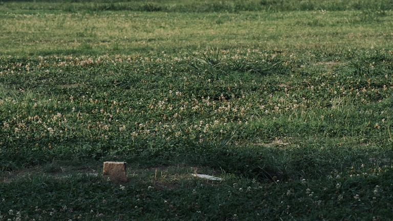 Score를 활용한 저점 매수 전략은 비교적 명확합니다. 역사적으로 MVRV Z-Score가 특정 임계값, 예를 들어 0 이하로 떨어지거나 매우 낮은 수준을 유지할 때, 비트코인은 강세장으로 전환되기 전의 바닥 구간에 있었던 경우가 많았습니다. 이러한 구간에서는 비트코인이 단기적으로 과매도되었거나, 시장 참여자들이 비트코인에 대한 확신을 잃었을 가능성이 높습니다. 하지만 장기적인 관점에서 볼 때, 이러한 저평가 구간은 매력적인 매수 기회를 제공합니다.