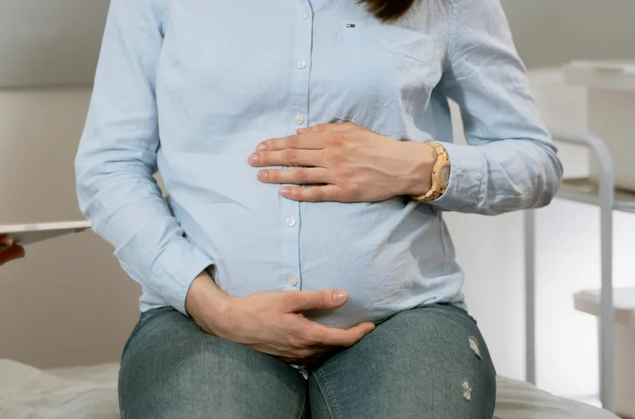 골반저 해부학 의료 일러스트