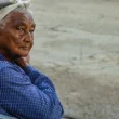 자동차보험료 절약하는 5가지 필수 특약 정리 (2026년) 15