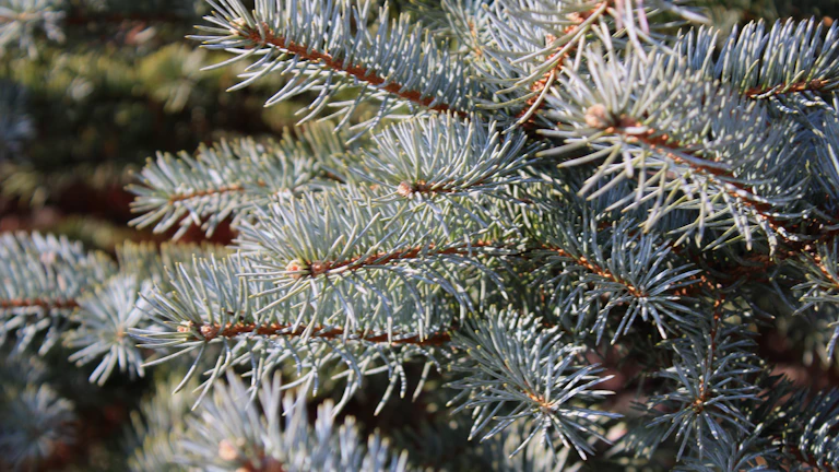 트레이딩뷰 파인 스크립트 기초, 이것만 알면 나만의 지표 만들 수 있습니다! 10 파인 스크립트 코드 예시