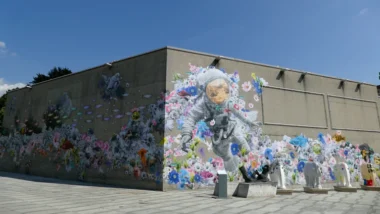 BAYC(지루한 원숭이) 바닥가, 급락 원인 심층 분석과 유가랩스 대응 전략 27