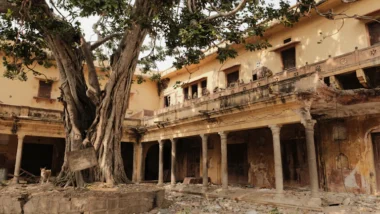 테라 루나 사태, 알고리즘 스테이블코인의 교훈과 가상화폐 투자자가 꼭 알아야 할 리스크 관리법 13