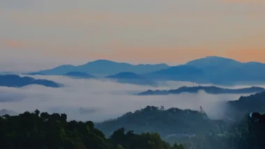 하드웨어 월렛 렛저(Ledger) 배터리 문제, 펌웨어 업데이트로 해결하는 완벽 가이드 31