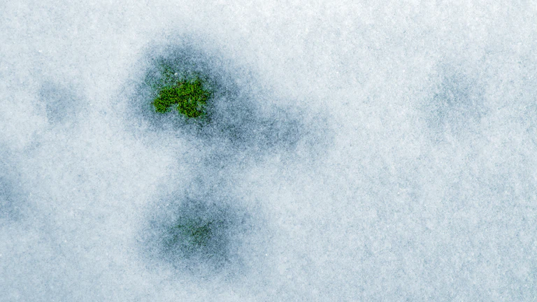 파라볼릭 SAR 지표 추세 추종의 비밀, 초보자도 이해하는 완벽 가이드 13