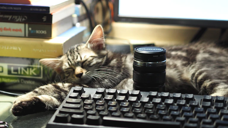 김치 프리미엄 차익 거래 봇 제작 원리, 24시간 자동 수익 시스템 구축 완벽 가이드 11 프로그래머가 작업 중인 모습