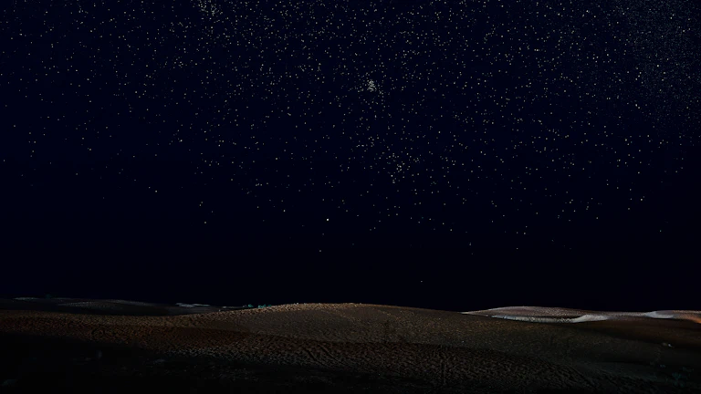 bankman-fried-trial-verdict - 샘 뱅크먼 프리드의 유죄 평결