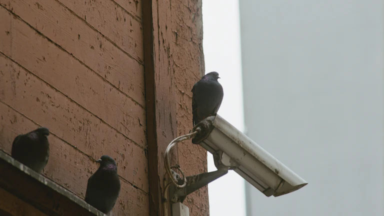 실시간 보안 모니터링 대시보드