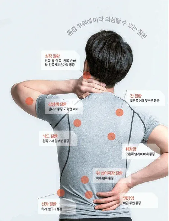 응급 내원 신호 복통 증상