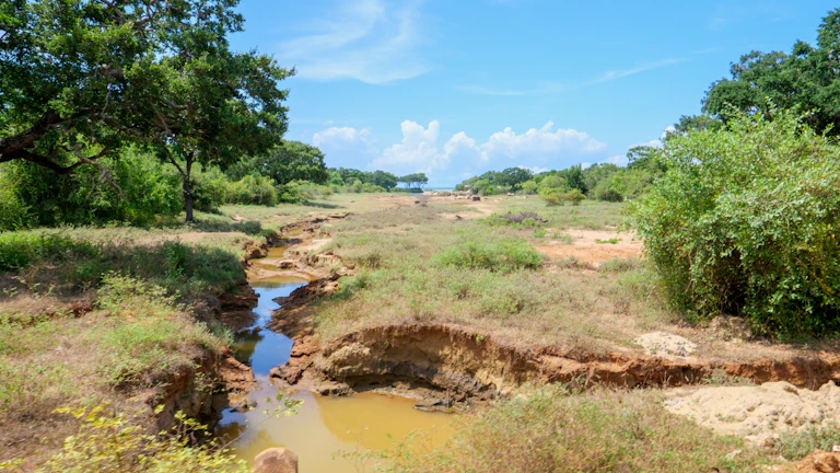 솔라나 생태계 내 다양한 프로젝트 로고