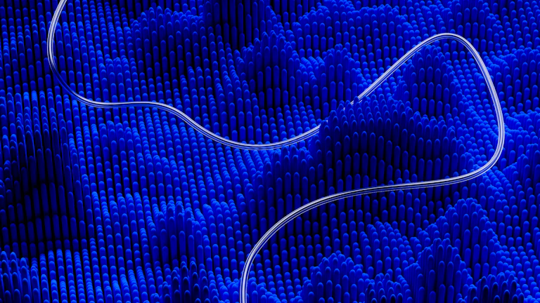 자신감 있는 표정의 성공적인 트레이더