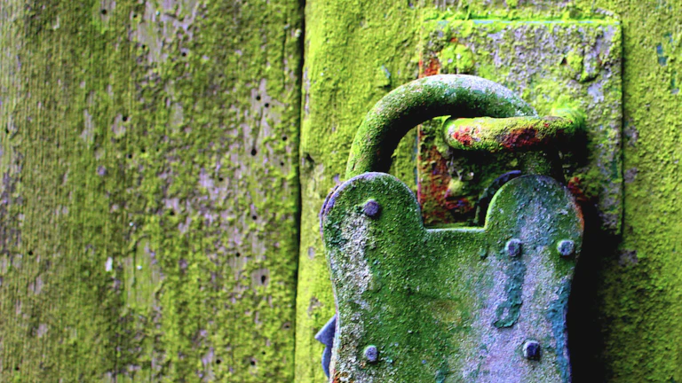 Reveal Schemes 등 암호화 기술을 활용하여 트랜잭션 내용을 블록에 포함되기 전까지 숨기는 방식도 연구되고 있습니다. 이를 통해 서처들이 멤풀에서 트랜잭션을 미리 읽고 공격하는 것을 방지할 수 있습니다. 2026년에는 이러한 기술들이 더욱 고도화되어 실제 프로토콜에 적용되는 사례가 늘어날 것으로 기대됩니다.