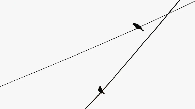 차트 패턴 역헤드 앤 숄더(Inverse H&S) 매수 타점, 수익을 부르는 완벽한 실전 매매 전략 10 역헤드 앤 숄더 패턴의 매수 타점과 리테스트 구간
