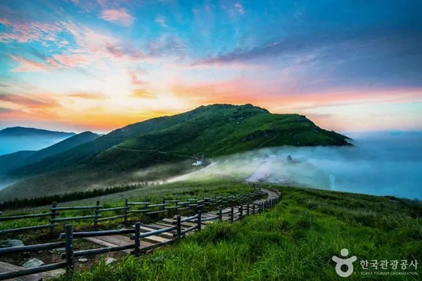 대왕암공원 출렁다리 바다 전망