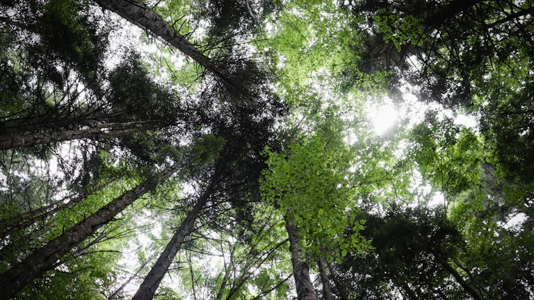 상승 추세를 나타내는 그래프