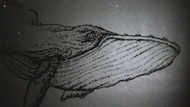 고래 지갑 이동 패턴 분석으로 코인 매수 적정 시점 포착 (2026년) 45