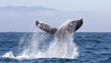 폭락장 수익 방어 온체인 분석 전략 40