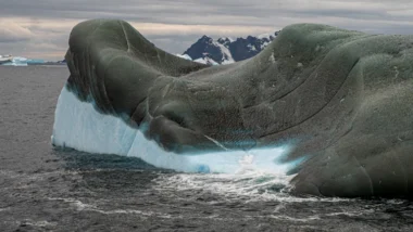 온체인 고래 지갑 추적으로 알트코인 급등 매수 타이밍 포착 47