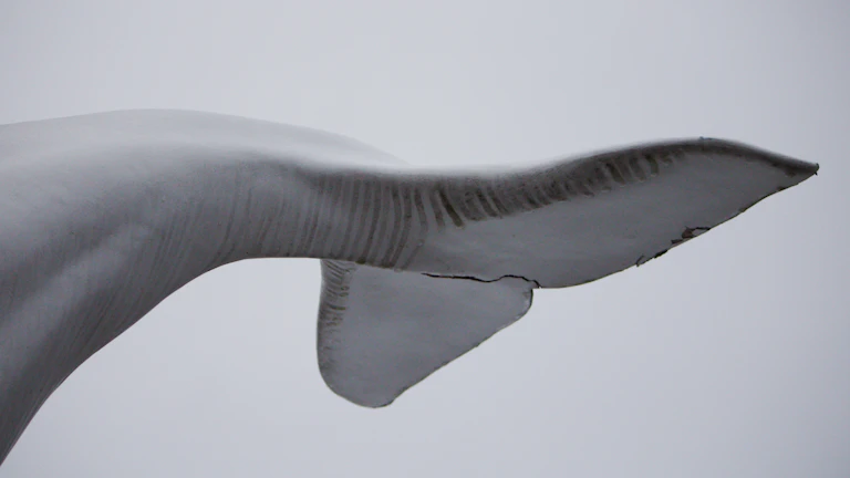 미결제약정 분석법으로 세력의 강제 청산 포착해 수익 내는 법 10 세력의 강제 청산 히트맵 및 지지 저항 분석