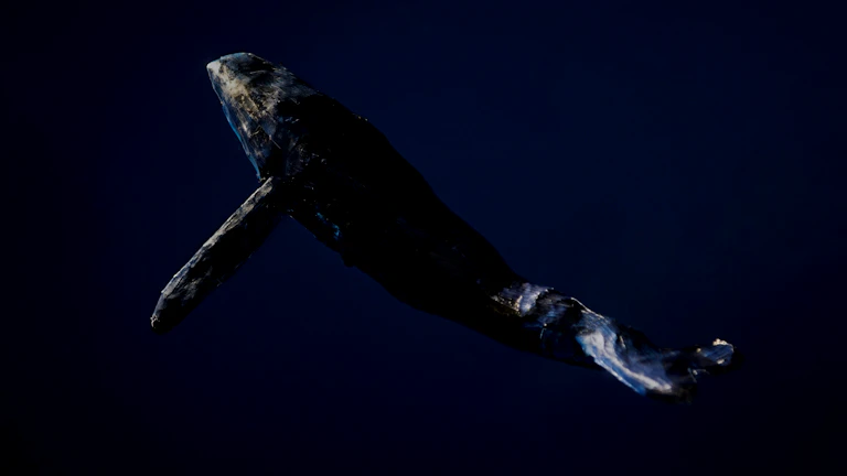 고래 지갑에서 거래소로, 혹은 거래소에서 고래 지갑으로 비트코인이 이동하는 것을 시각화한 그래프