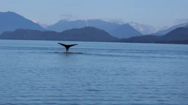 2026년 비트코인 폭락 전 징후 포착으로 리스크 최소화 45