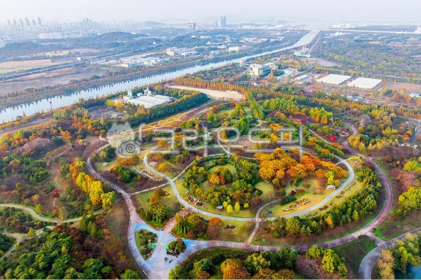 2026년 5월 드림파크 야생화단지 산책 후기와 꽃구경 팁 9