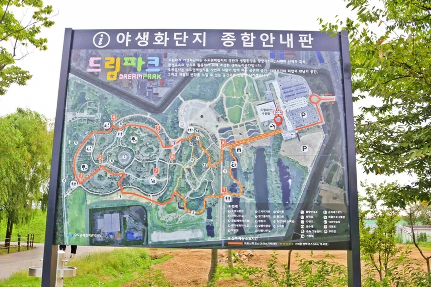 봄꽃구경 필수 준비물 물 모자 선크림