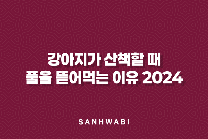 강아지가 산책할 때, 풀을 뜯어먹는 이유 2024