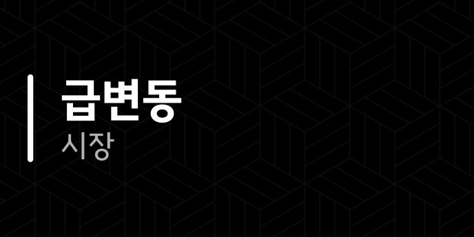 급변동 시장