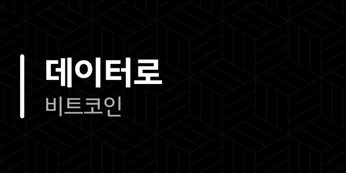 데이터로 비트코인