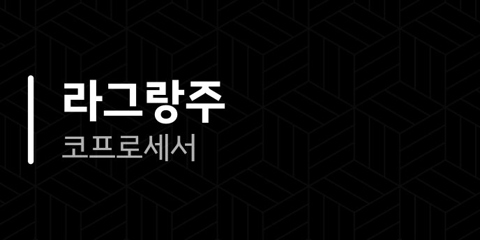 라그랑주 코프로세서