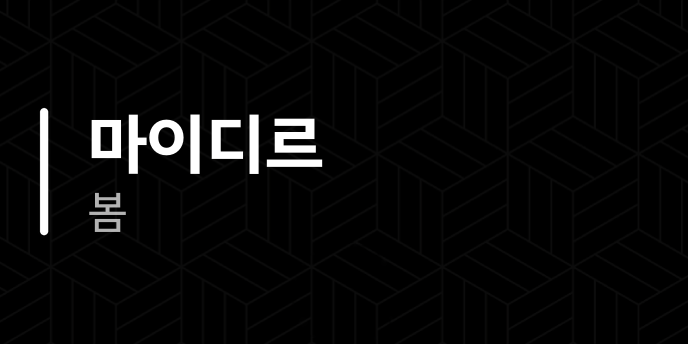마이디르 봄