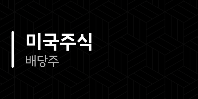 미국주식 배당주