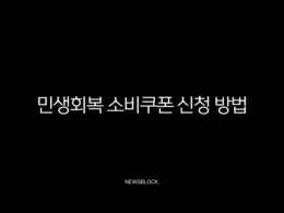 민생회복 소비쿠폰 신청 방법부터 수령액 계산까지 총정리 27